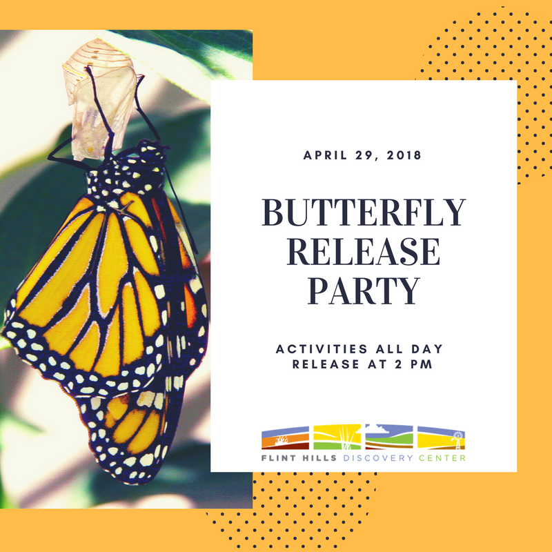 Butterfly Release Party - Downtown Manhattan Inc.