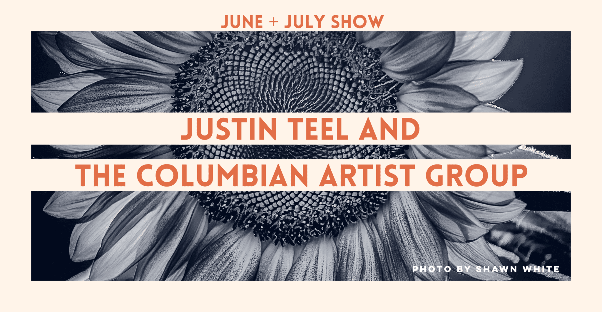June & July Art Exhibit - Midtown Plaza, 409 Art Space & The ...